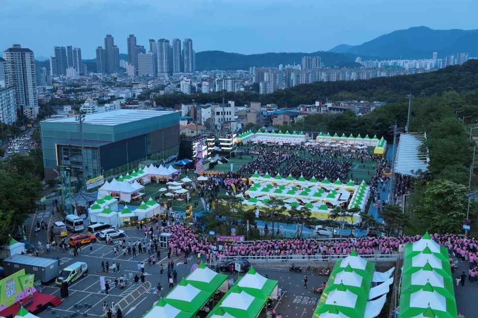 대구앞산축제